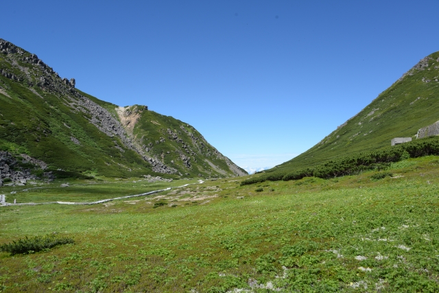 自然のイメージ